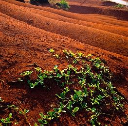 《怪物猎人崛起：曙光》新更新上线 修复多个问题